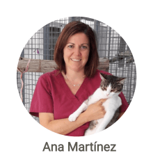 Ana Martinez