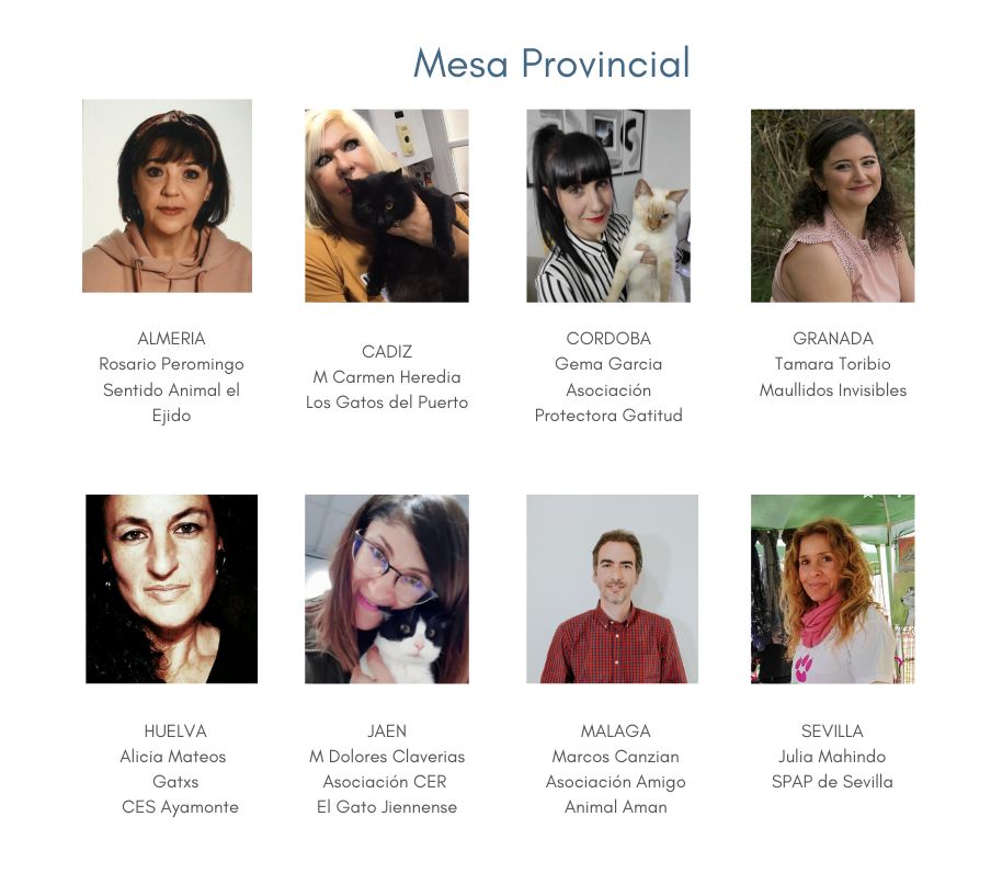 III JORNADAS FELINAS ANDALUZAS Mesa provincial